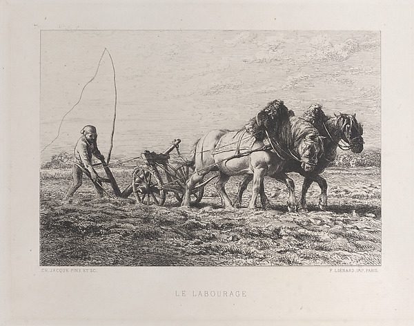 Illustration de l'histoire « L'aspirine existait déjà dans les momies égyptiennes »